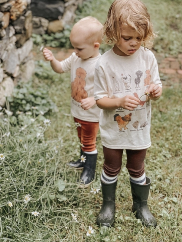 Chicken Breeds Short-Sleeve